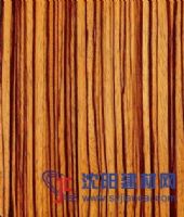 斑馬木專賣店